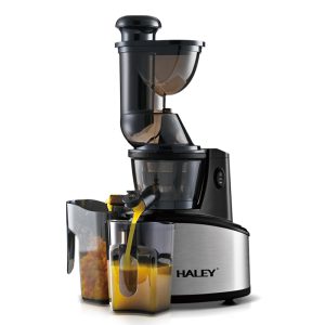 Juicer Model HY-601