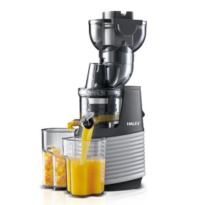 Juicer Model HY-602